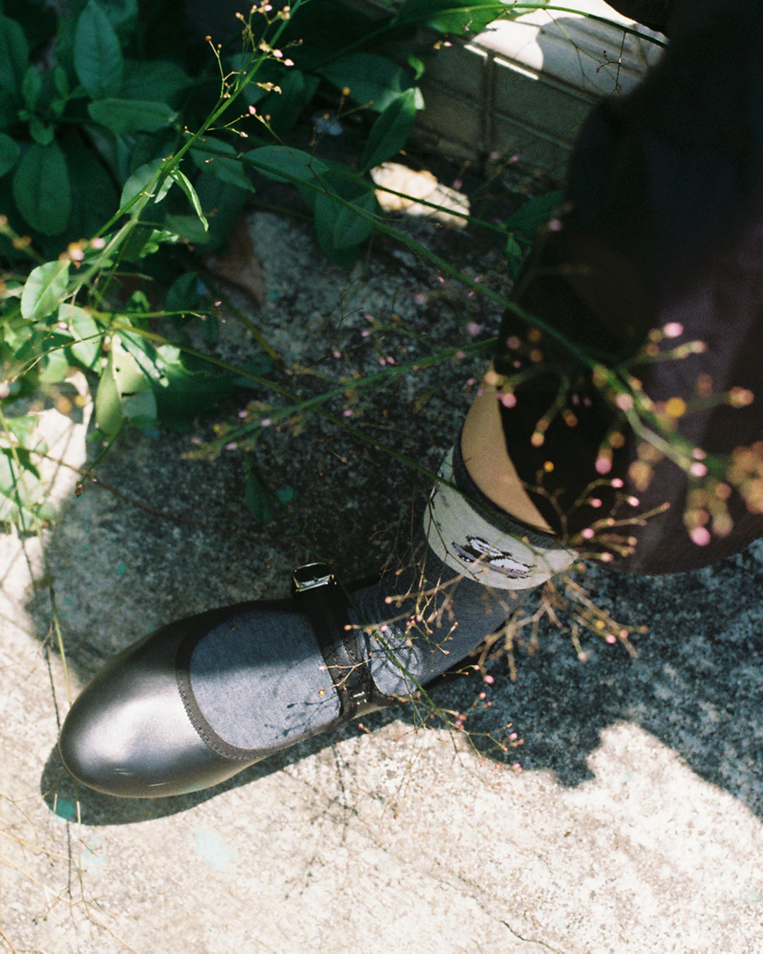 𝐩𝐚𝐧𝐝𝐚 𝐬𝐨𝐜𝐤𝐬 𖦹‎𖦹‎ ‎.ᐟ.ᐟ