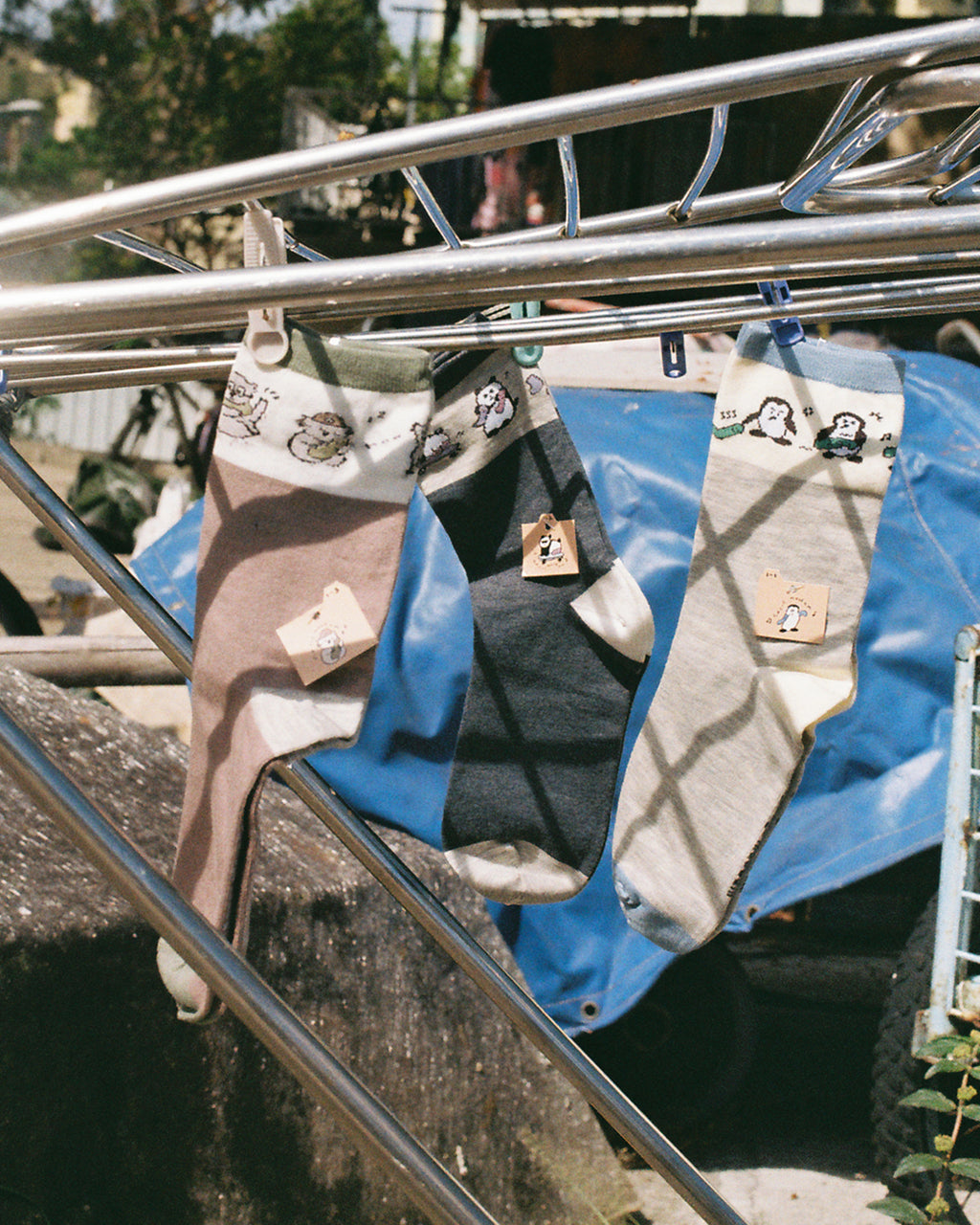 𝐩𝐚𝐧𝐝𝐚 𝐬𝐨𝐜𝐤𝐬 𖦹‎𖦹‎ ‎.ᐟ.ᐟ