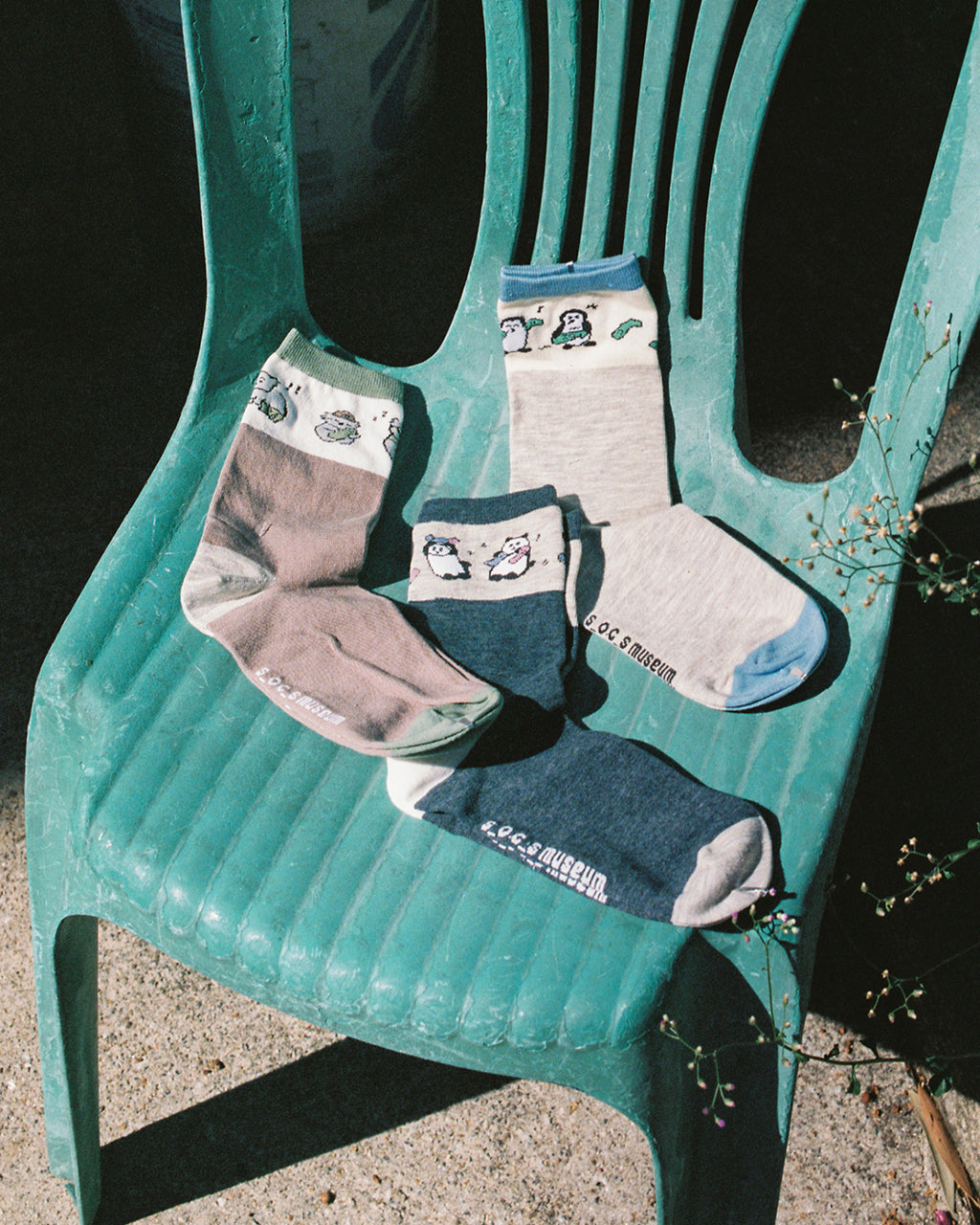 𝐤𝐨𝐚𝐥𝐚 𝐬𝐨𝐜𝐤𝐬 （　 ˘-˘ 　） zzz